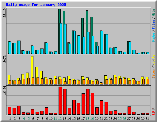 Daily usage for January 2025