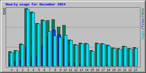 Hourly usage for December 2024