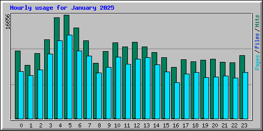 Hourly usage for January 2025