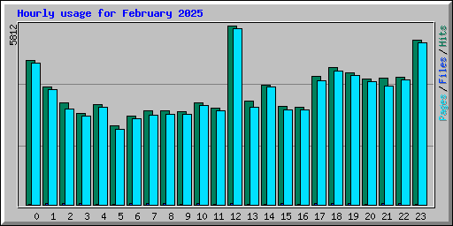 Hourly usage for February 2025