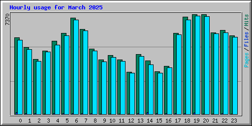 Hourly usage for March 2025