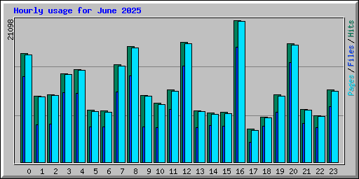 Hourly usage for June 2025
