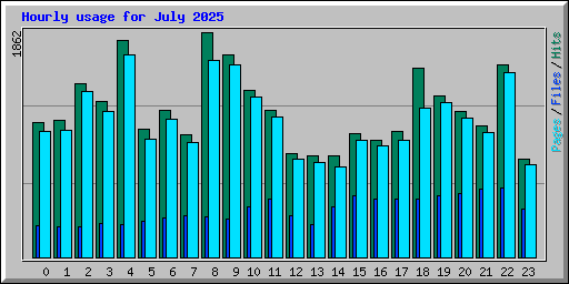 Hourly usage for July 2025