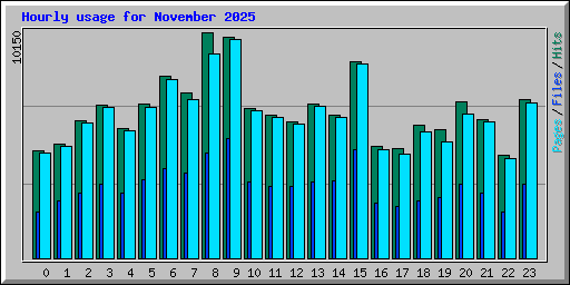Hourly usage for November 2025