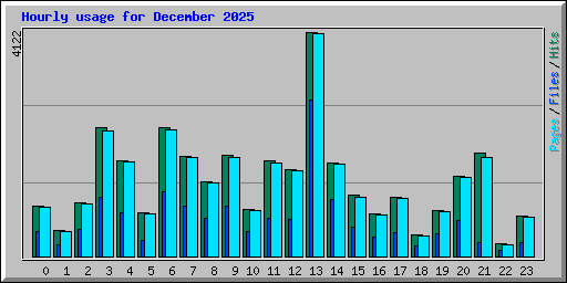 Hourly usage for December 2025