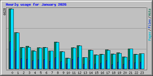 Hourly usage for January 2026